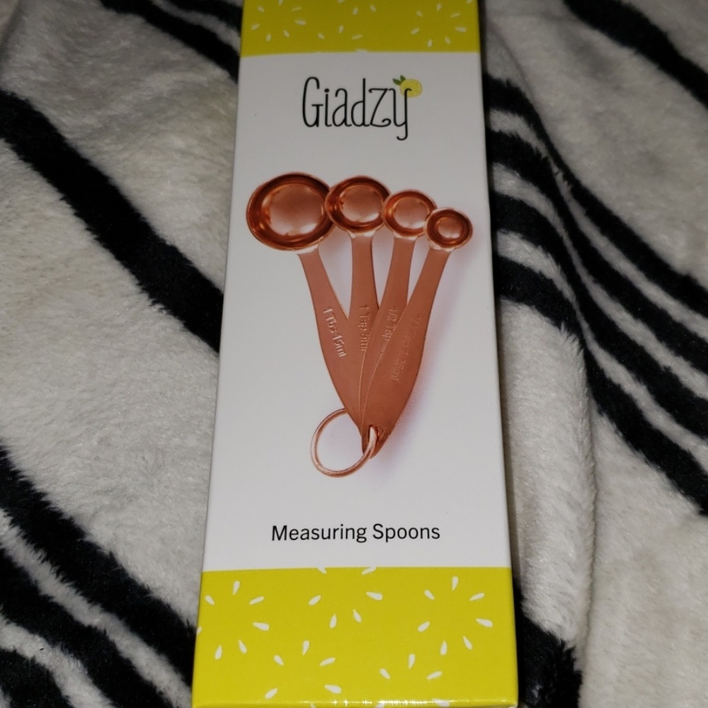 Giadzy measuring spoons